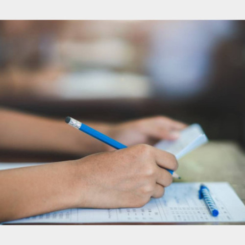 Examen de titularizare în Bihor: Participare și rezultate