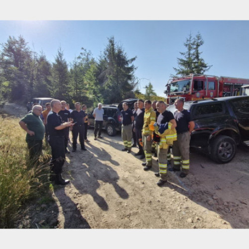 Incendiul de fond forestier din apropierea localităților Budureasa și Stana de Vale a fost lichidat