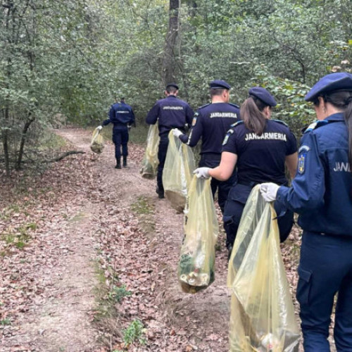 Jandarmii din Bihor participă din nou la o acțiune de ecologizare