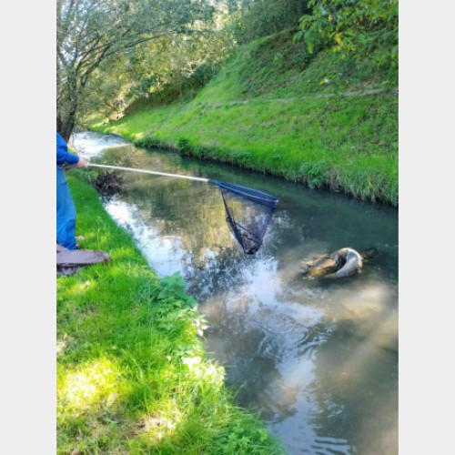 Echipa ABA Crisuri investighează poluarea paraului Peta din Oradea