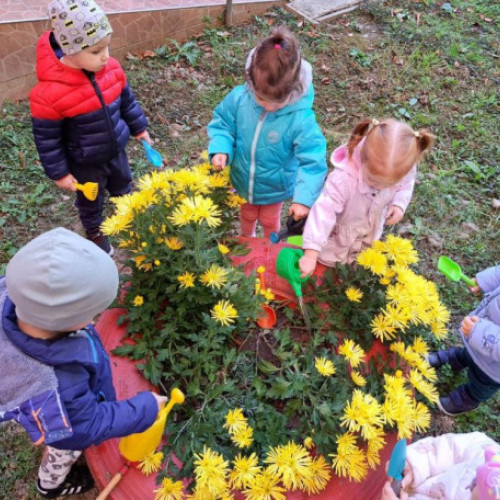 Micuții din creșele orădene descoperă florile de toamnă