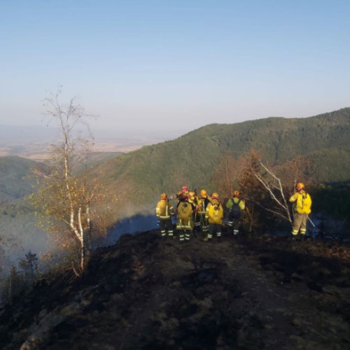 Activitatea Inspectoratului pentru Situatii de Urgenta &quot;Crisana&quot; din Bihor în 2024