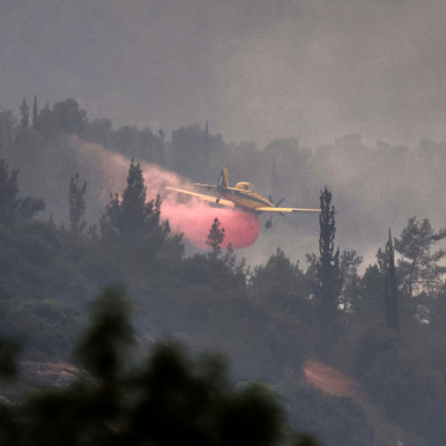 Incendii devastatoare în Israel: Autostrada Ierusalim - Tel Aviv, închisă