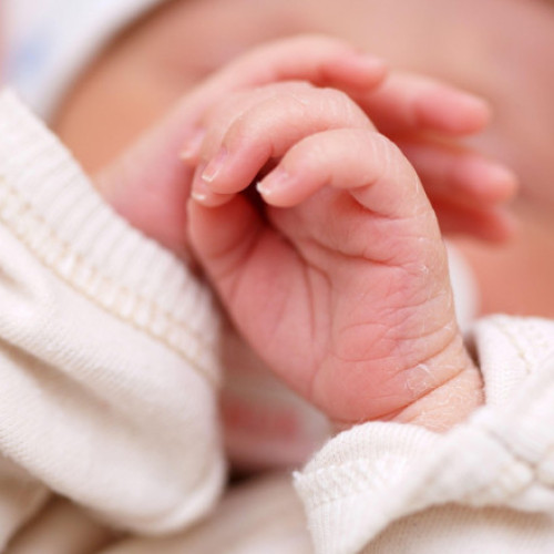 Ce s-ar întâmpla dacă oamenii nu s-ar mai naște vreodată