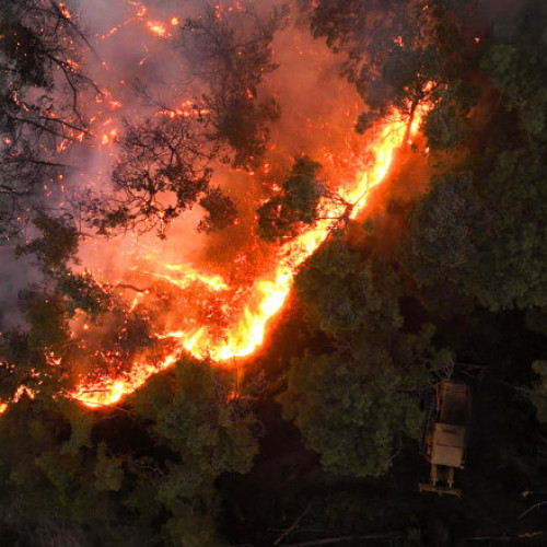 Video Incendiile devastatoare au distrus 3% din pădurile Siriei. Damascul a cerut ajutorul UE pentru a opri focarele