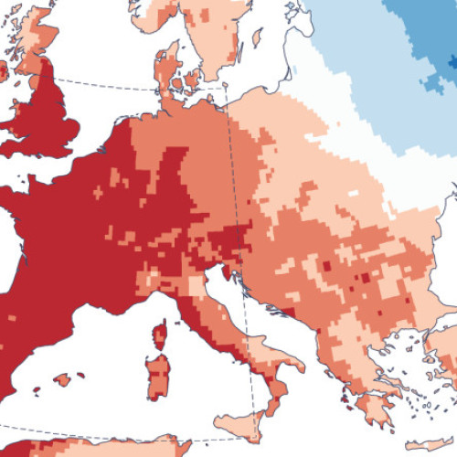 Luna iunie a fost cea mai caldă înregistrată vreodată în Europa de Vest și a treia la nivel global