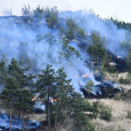Stare de urgenţă în Macedonia de Nord, din cauza incendiilor de pădure
