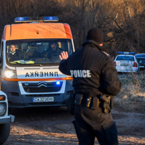 Un camion frigorific cu 16 imigranţi ilegali la bord a fost descoperit la Ruse