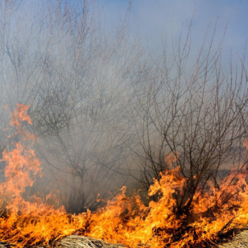 Video&Foto Incendiu de vegetație în zona Marelui Canion din SUA. Mai multe clădiri au ars din temelii