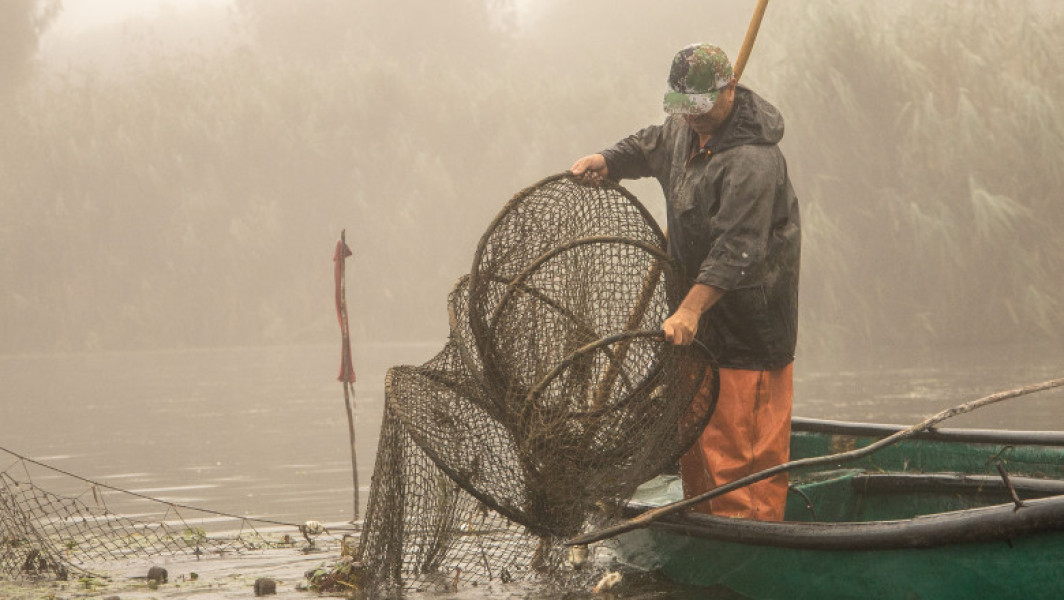 Reglementări proaspete pentru pescari în Delta Dunării