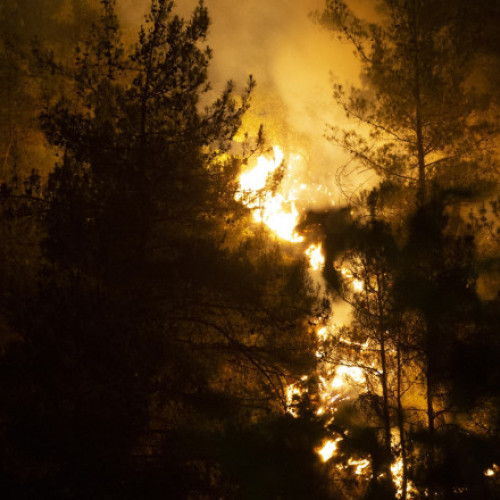 Tragedie în Turcia: zece pompieri au murit în lupta cu un incendiu de vegetație