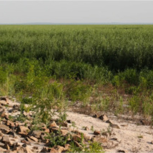 dublu ochi pentru selectia directorilor de la companiile de stat, ministrul Radu Miruta denunță scheme „geniul raului”