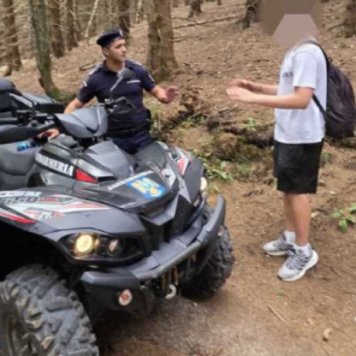 Tânăr salvat după ce a fost urmărit de urs pe muntele Postăvaru