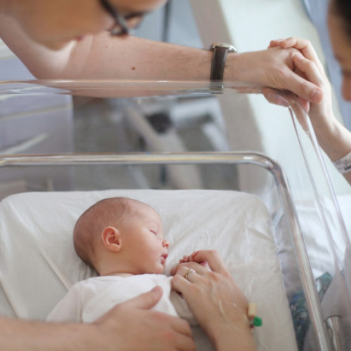 maternitatea din timișoara, redeschisă într-un fost spital privat după închiderea clădirii vechi