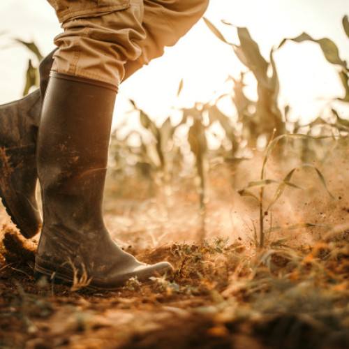 Statul român, obligat la plata a peste 12 milioane de euro pentru fermier din Vrancea