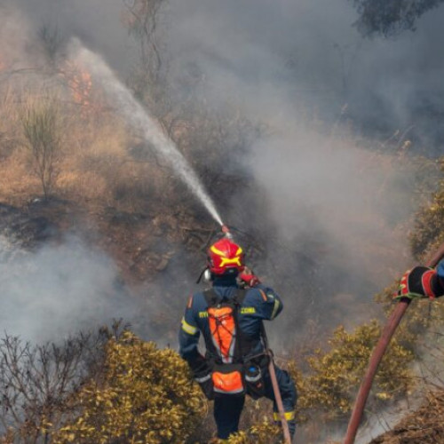Guvernul Greciei cere ajutor pentru stingerea incendiilor din mai multe regiuni