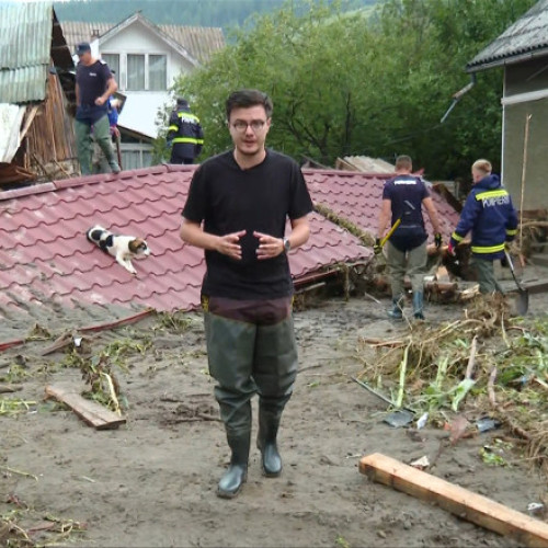 Furtuni devastatoare au provocat pagube majore în județele Suceava și Neamț, iar echipele de salvare continuă intervențiile în zonele afectate