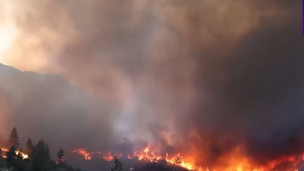 Număr mare de piromani, arestați în Grecia pentru incendii de vegetație