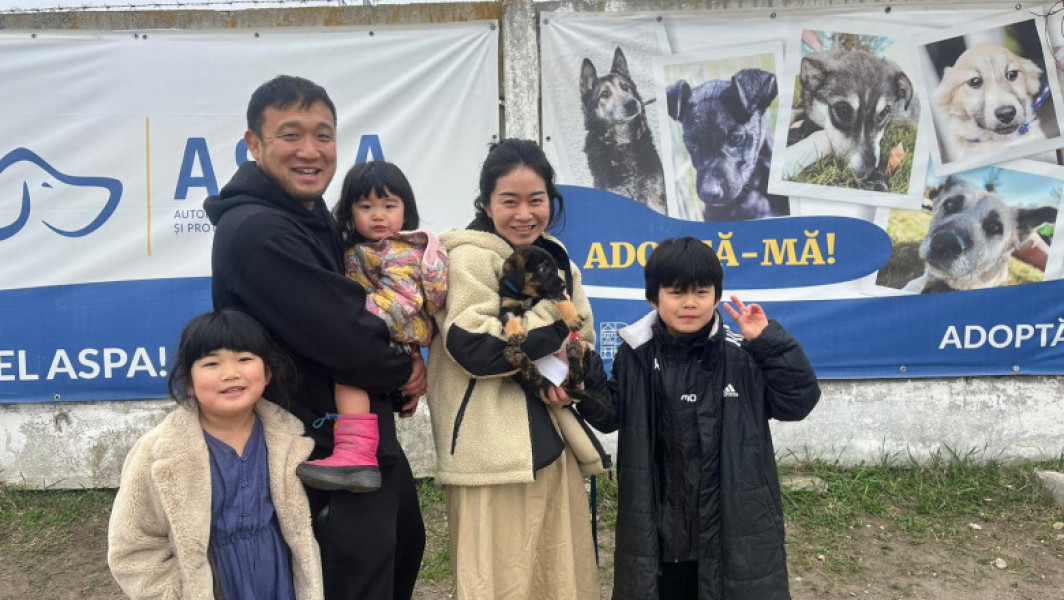 Primarul Nicuşor Dan promovează adoptarea câinilor din adăposturi, inspirându-se din povestea unei familii japoneze ce a adoptat un căţel de 3 luni din adăpostul ASPA Bragadiru.