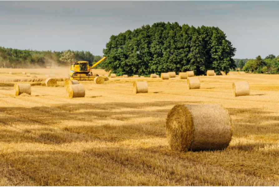 Criză în agricultură: scumpiri ale energiei, deficit comercial și apeluri pentru soluții pe termen lung