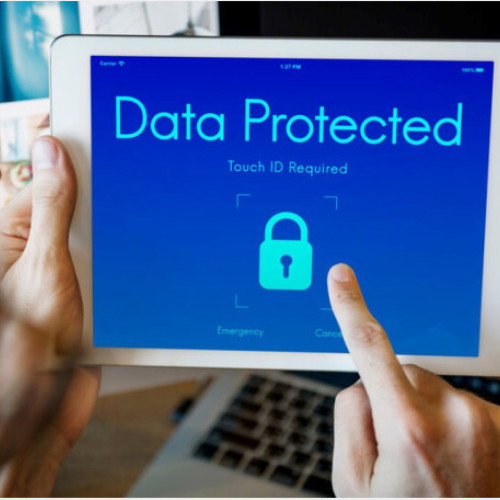 Guvernul adoptă norme pentru un sistem digitalizat de plată a amenzilor