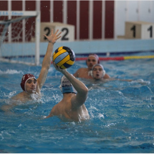 CSU Oradea vs CSM Oradea - Confruntare fratricidă în Superliga de polo, pe Bazinul Ioan Alexandrescu