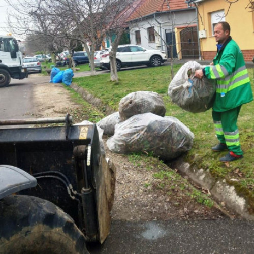 Debarasarea gratuită de deșeuri vegetale pentru locuitorii din Oradea - Programul de curățenie de primăvară se extinde și în cartierele Rogerius, Episcopia, Oncea și Olosig